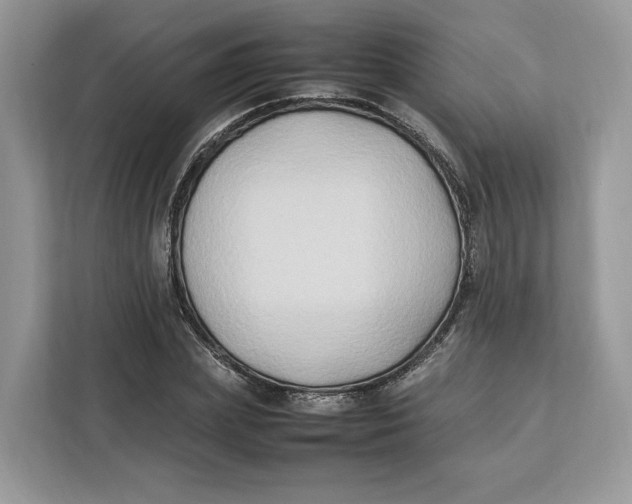 X0000112210831200908281458