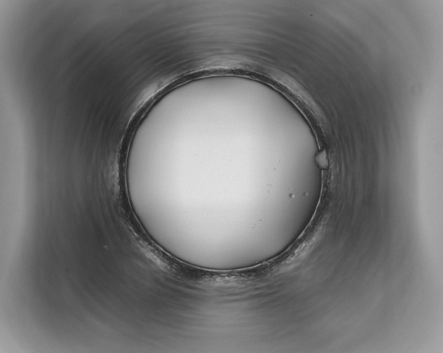 X0000112210834200908281458