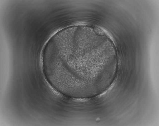 X0000112210835200908281458