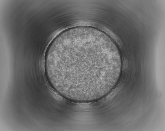 X0000112210836200908281458