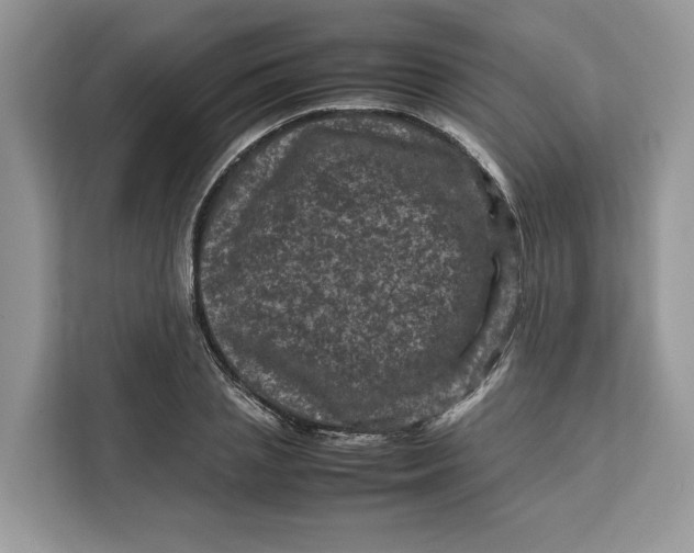 X0000112210837200908281458