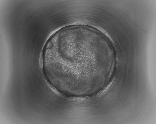 X0000112210838200908281458