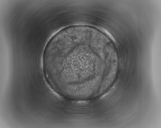 X0000112210839200908281458