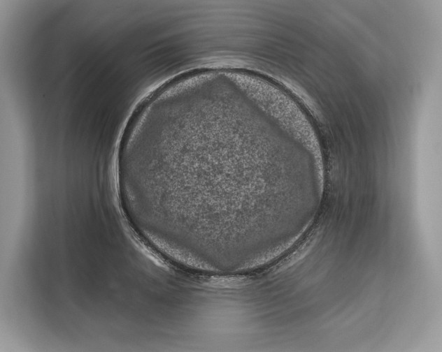 X0000112210840200908281458
