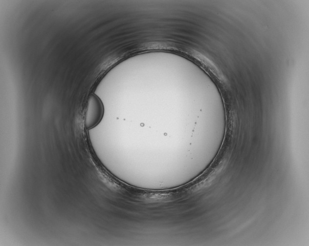 X0000112210841200908281458