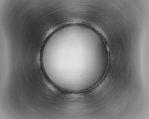 X0000112210842200908281458