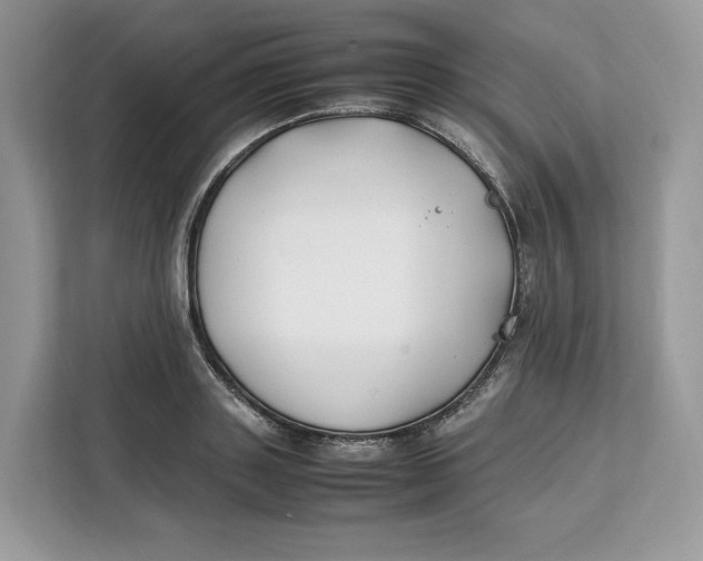 X0000112210843200908281458