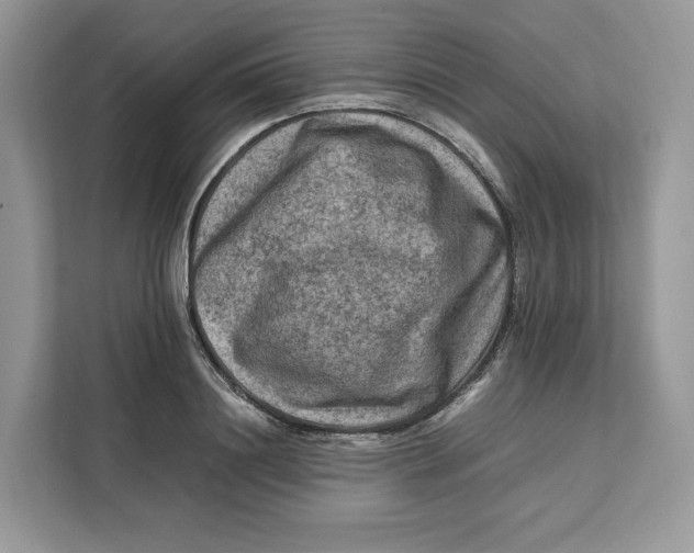 X0000112210844200908281458