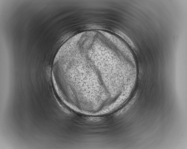 X0000112210849200908281458