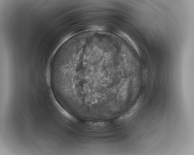 X0000112210851200908281458