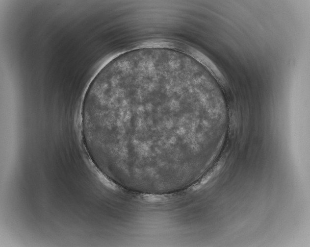 X0000112210852200908281458