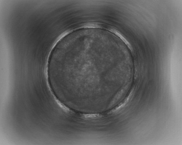 X0000112210853200908281458