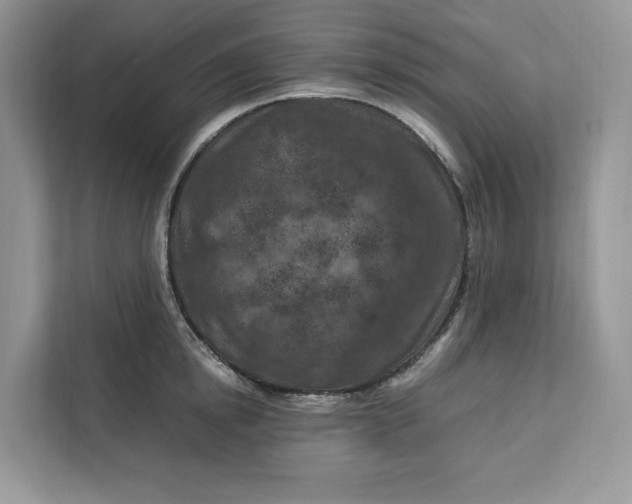 X0000112210854200908281458
