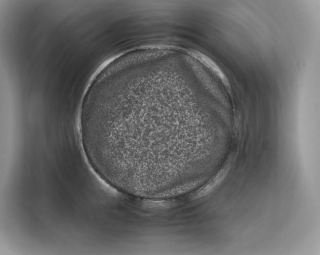 X0000112210855200908281458