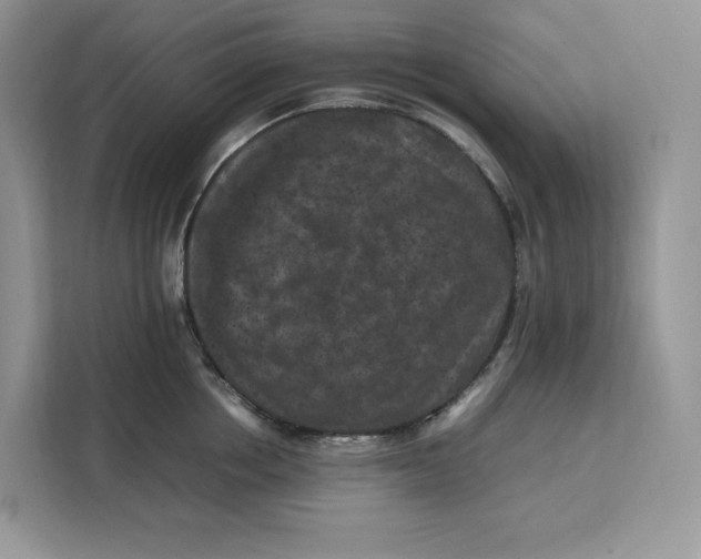 X0000112210858200908281458