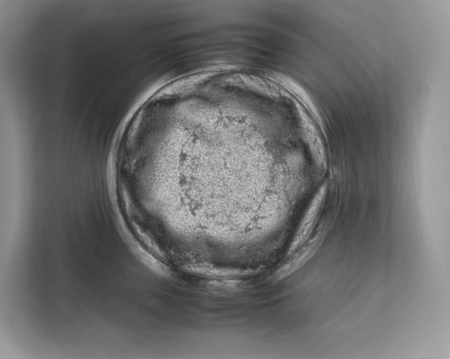 X0000112210859200908281458