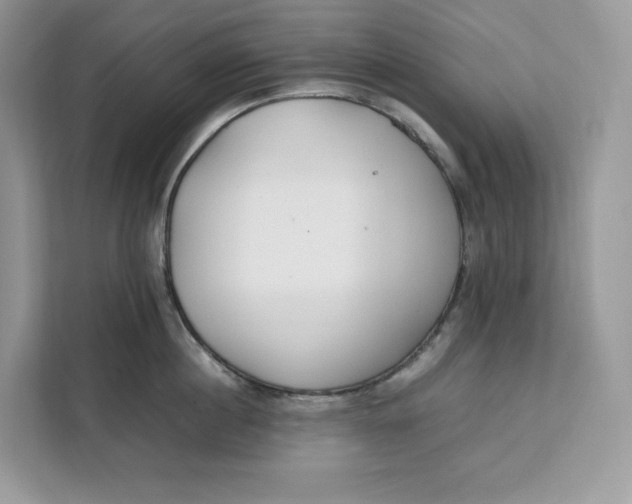 X0000112210860200908281458
