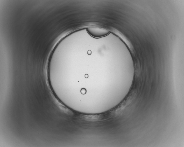 X0000112210861200908281458