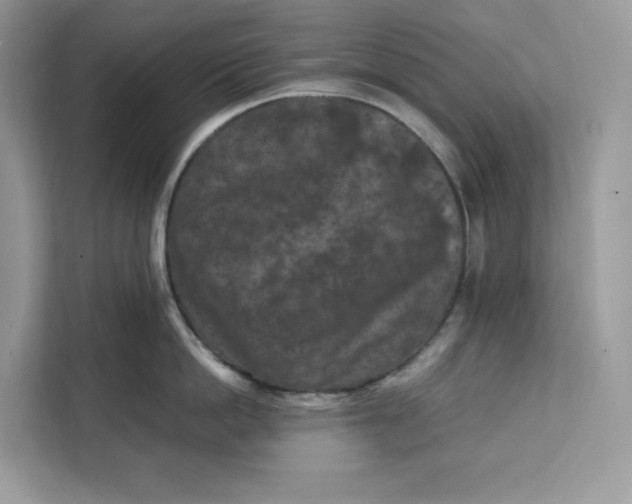 X0000112210862200908281458