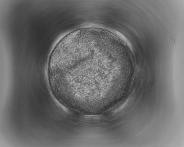 X0000112210863200908281458