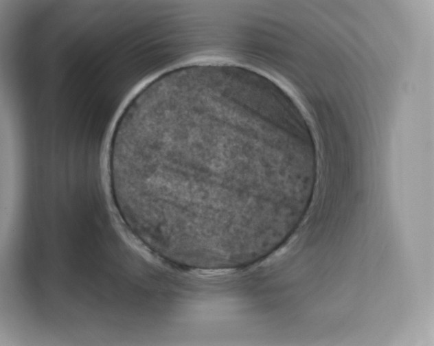 X0000112210864200908281458