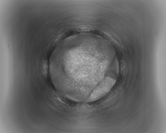 X0000112210866200908281458