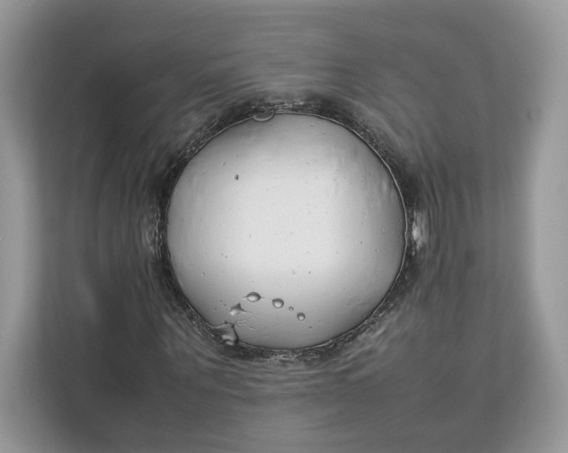 X0000112210867200908281458