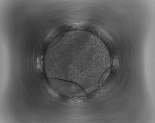X0000112210868200908281458
