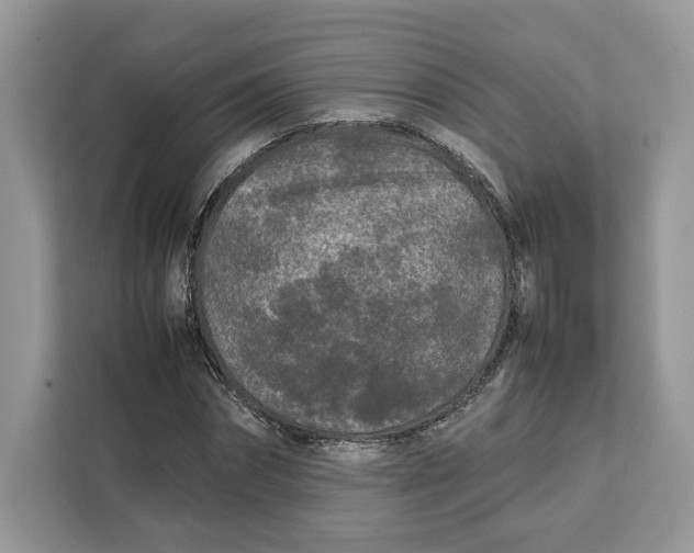 X0000112210874200908281458