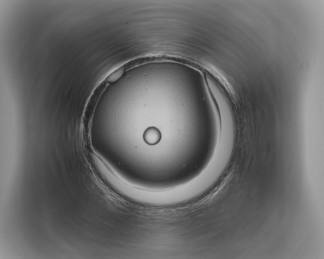 X0000112210876200908281458