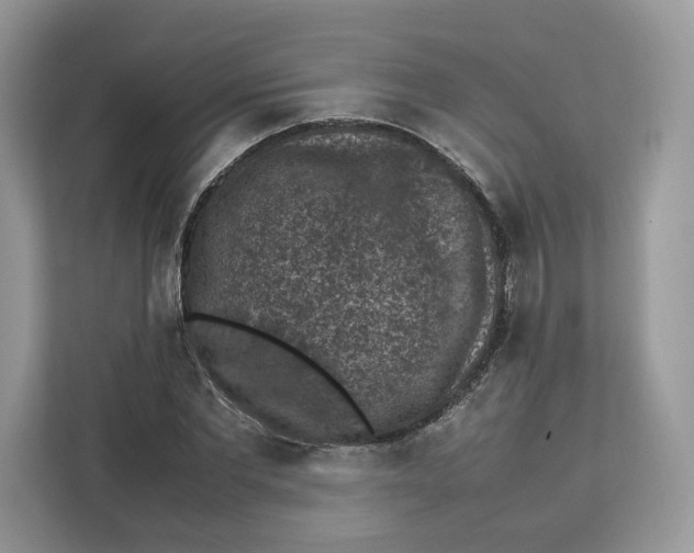 X0000112210877200908281458