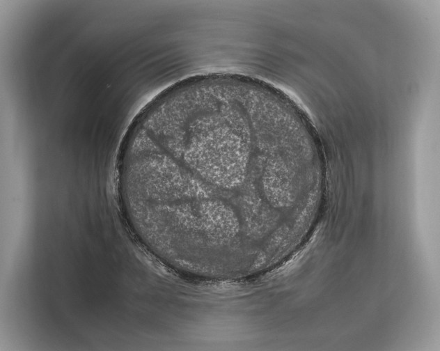 X0000112210879200908281458