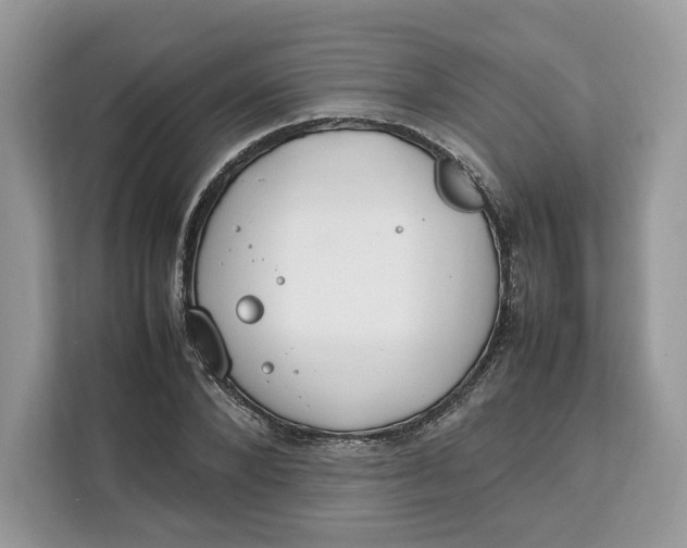 X0000112210880200908281458