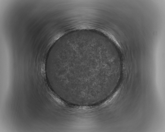 X0000112210881200908281458