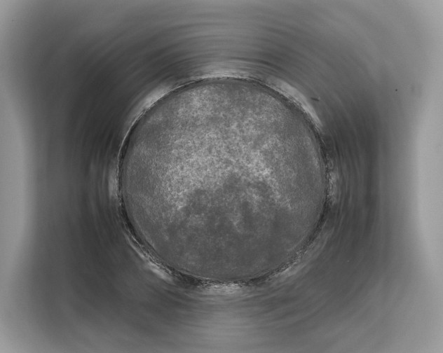 X0000112210882200908281457