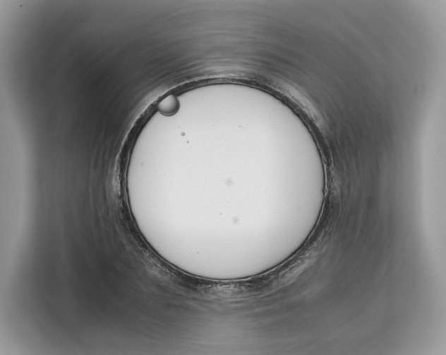 X0000112210883200908281457