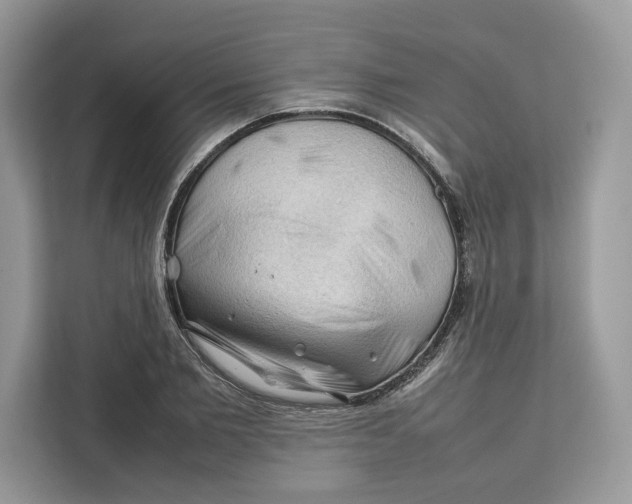 X0000112210885200908281457