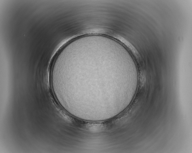 X0000112210886200908281457
