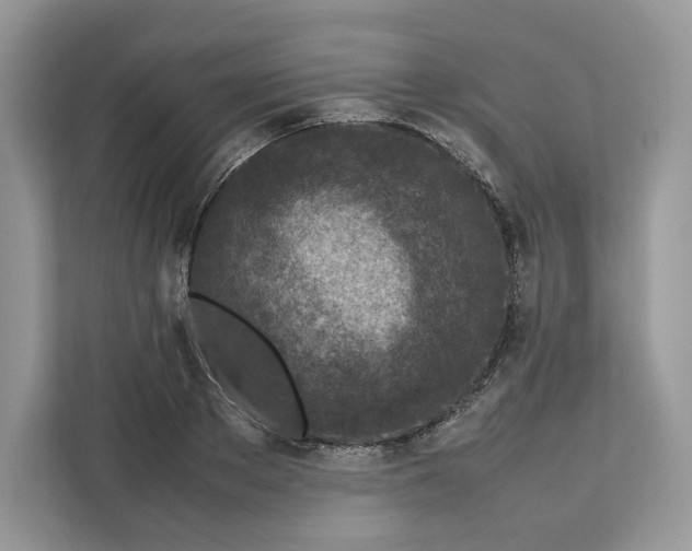 X0000112210889200908281457