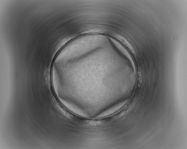X0000112210890200908281457