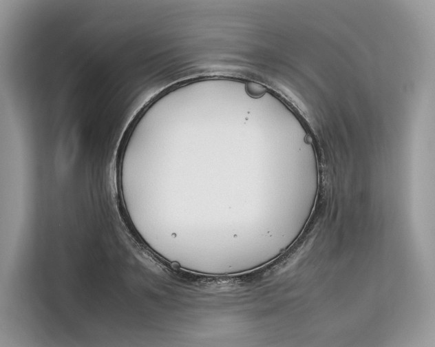 X0000112210891200908281457