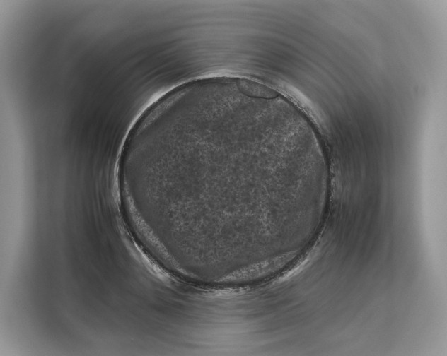 X0000112210892200908281457