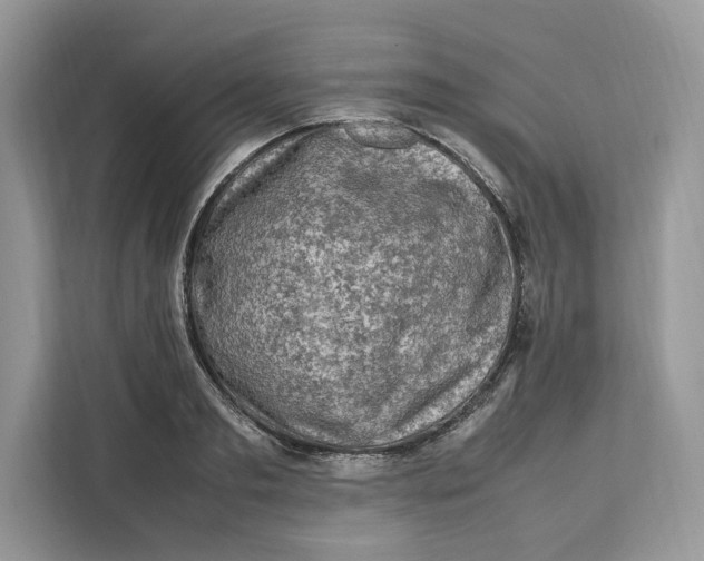 X0000112210893200908281457