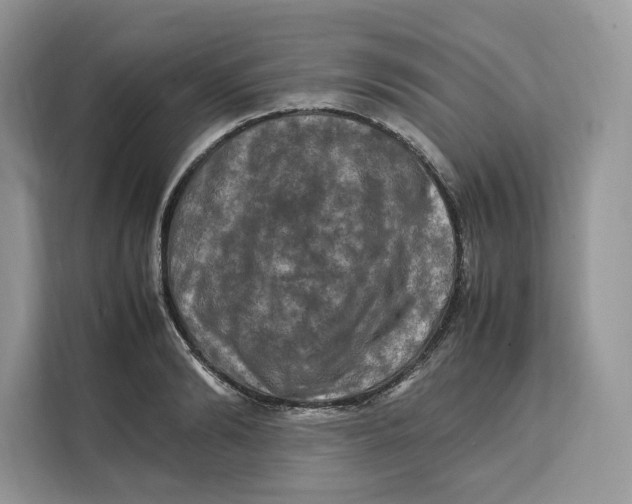 X0000112210894200908281457
