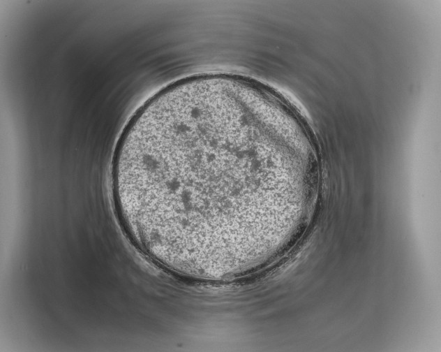X0000112210895200908281457