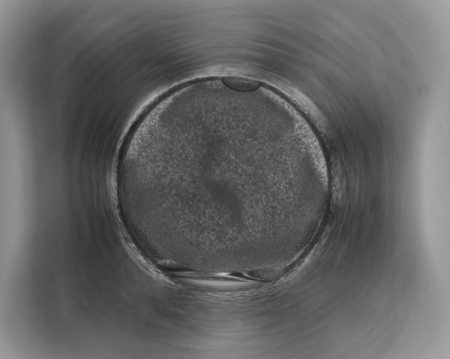X0000112210896200908281457
