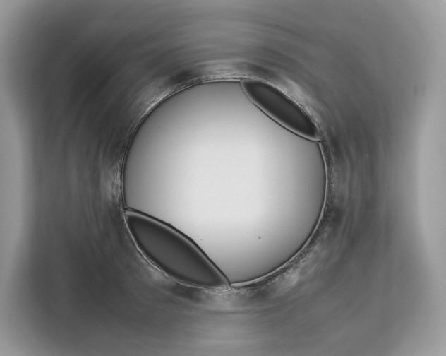 X0000112210897200908281457