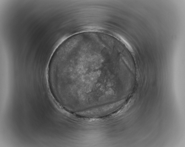 X0000112210899200908281457