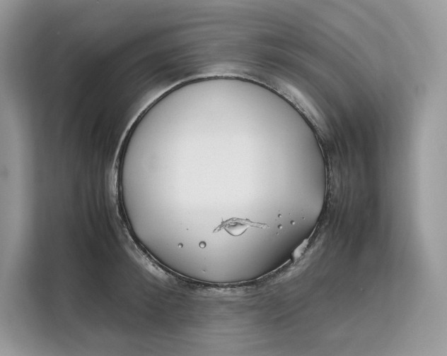 X0000112210900200908281457