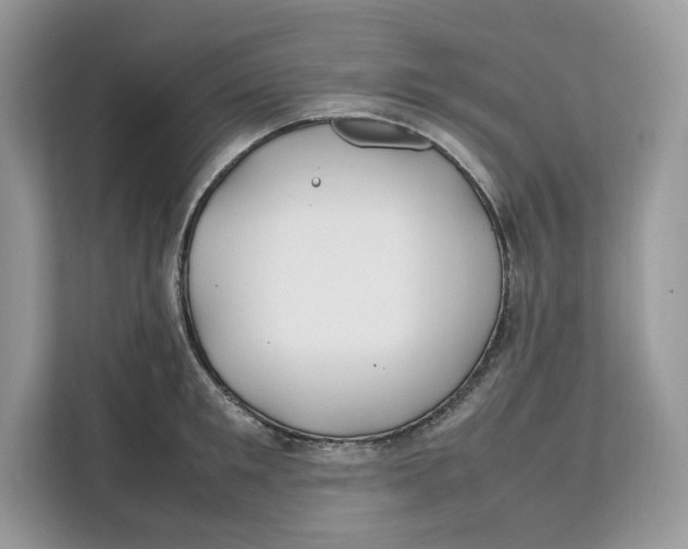 X0000112210901200908281457